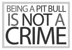 Pitbull Posters Vinyl Sticker 1