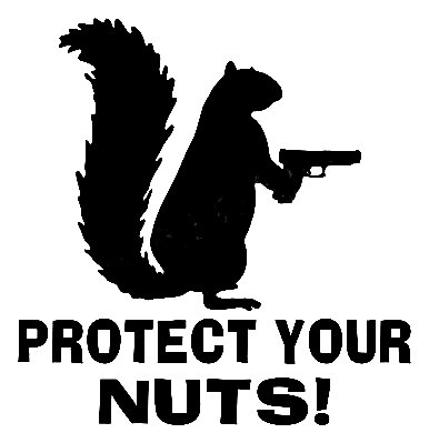 Protect Your Nuts Gun Control Decal
