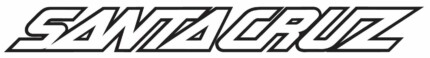 Santa Cruz Text Logo Diecut Decal