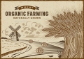 Wheat-Organic-Farming-Landscape Sticker