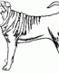 Dog Breed Decal 12