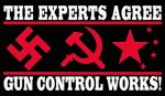 experts agree_black gun control sticker