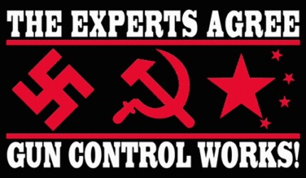 experts agree_black gun control sticker