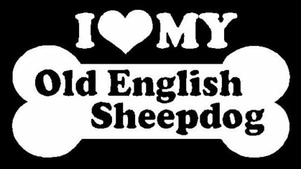 I Love My Old English Sheepdog