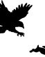 rabbit hunting with hawk decal