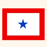 service star 1 sticker