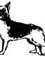 081 German Shepherd Decal