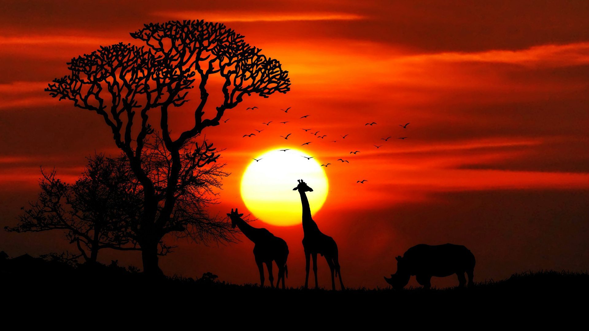 African Animal Stickers COLOR 8