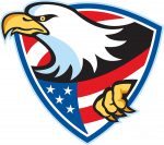 American Bald Eagle Flag Shield Sticker
