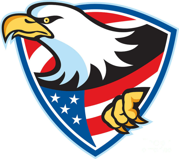 American Bald Eagle Flag Shield Sticker
