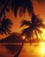 Beaches and Coastal Vinyl Wall Graphics 097