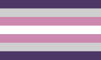 bigender 4 pride flag