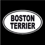 Boston Terrier Oval Dog Decal