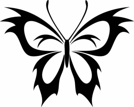 Butterfly Vinyl Window or Wall Decal 5