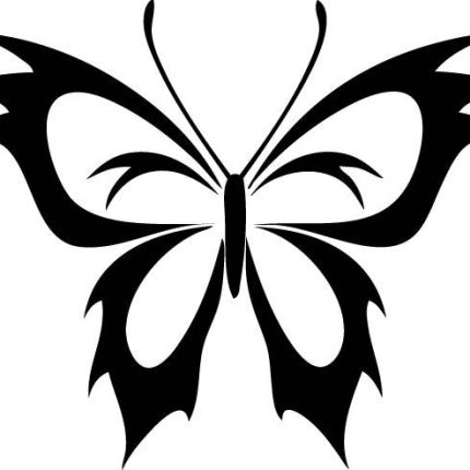 Butterfly Vinyl Window or Wall Decal 5