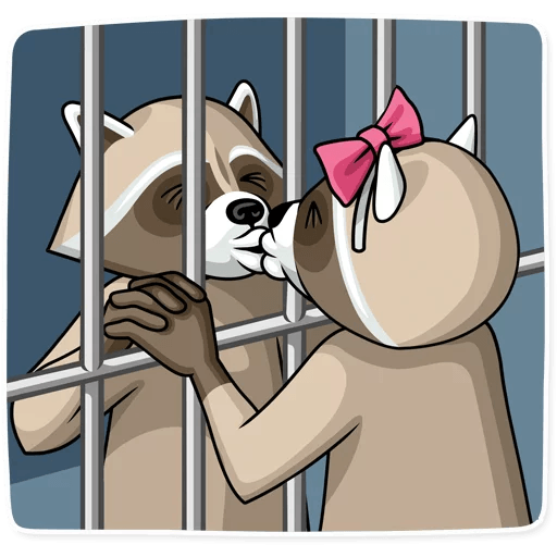 criminal raccoon_2
