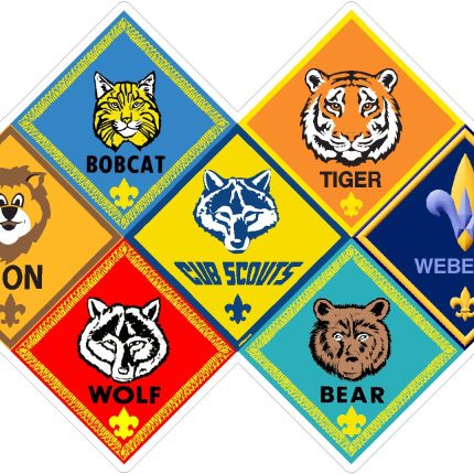 cub scouts RANKS STICKER 1