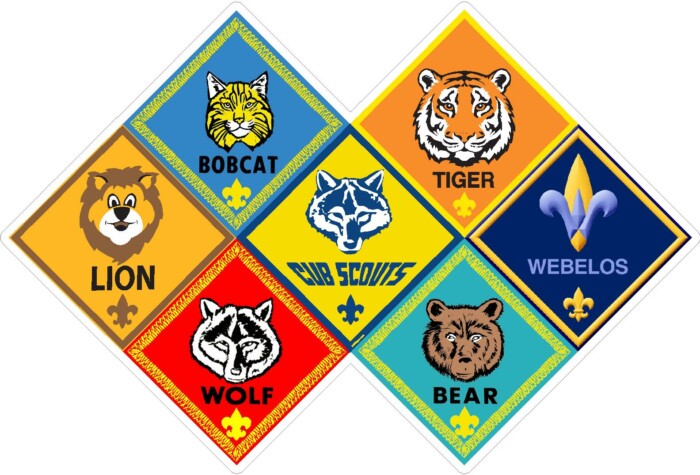 cub scouts RANKS STICKER 1