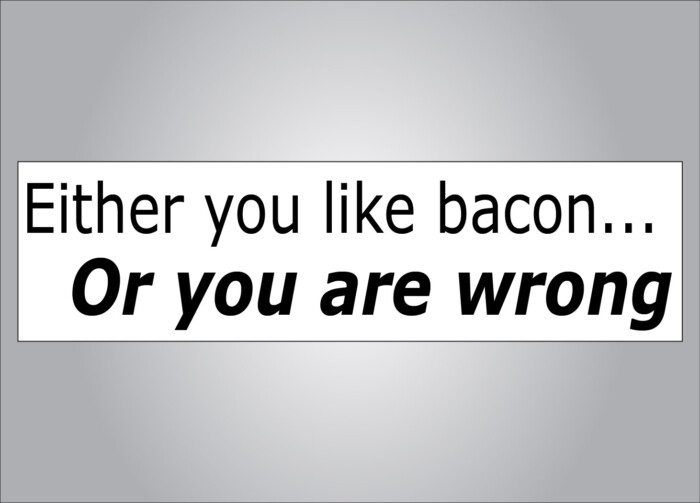 Either you like bacon or youre wrong bumper sticker