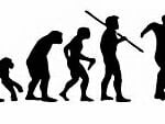 Evolution Sport Stickers SOCCER