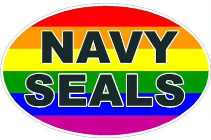 FLAG GAY OVAL NACY SEALS DECAL