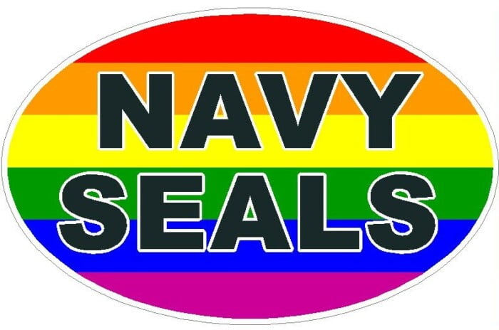 FLAG GAY OVAL NACY SEALS DECAL