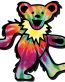 grateful dead bear tiedie