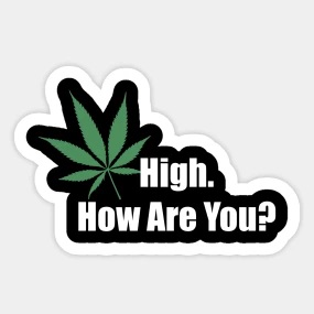 high how are you weed funny sticker