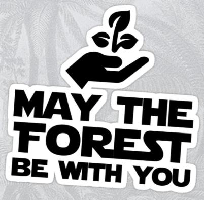 May The Forest Be With You Sticker