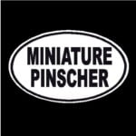 Miniature Pinscher Oval Decal
