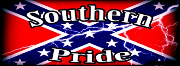 southern pride battle flag and lightning sticker