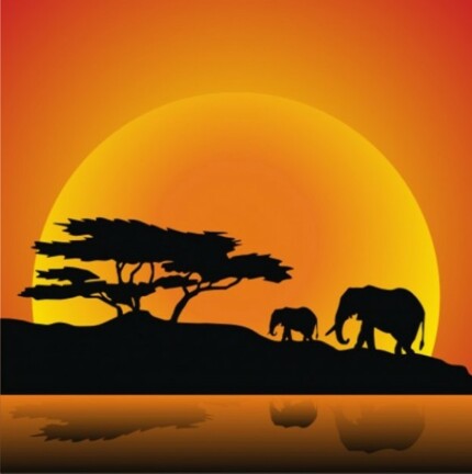 African Animal Stickers COLOR 6