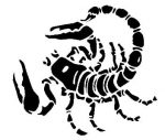 Scorpion decal 2