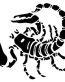 Scorpion decal 2