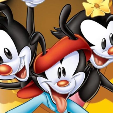 Animaniacs Yakko Wakko and Dot WB Sticker