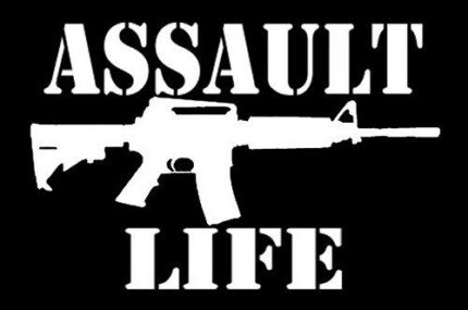 assault life die cut decal 33