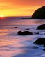 Beaches and Coastal Vinyl Wall Graphics 079
