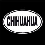 Chihuahua Oval Dog Decal