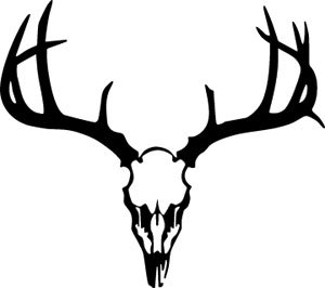 Deer Skull 77