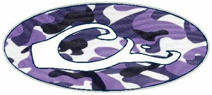 DRAKE OVAL DECAL - Purple Camo FILL
