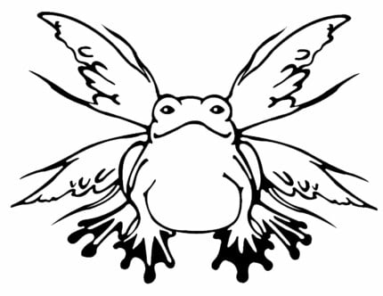 Frog Butterfly Decal