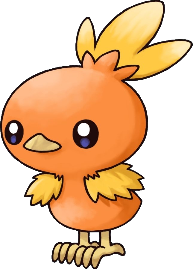 Pokemon Torchic