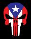 Puerto Rico Punisher Skull Sticker