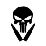 PUNISHER-Skull-AMMO decal