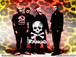 Rancid Color Band Decal