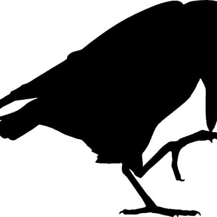 Raven Ravens Bird Birds Animal Animals Vinyl Decal Sticker 02