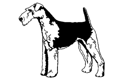 025 Welsh Terrier Decal