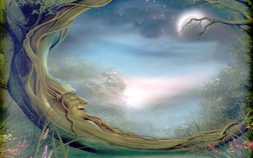 Fairies and Fantasy Wall Graphics 152