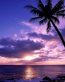 Beaches and Coastal Vinyl Wall Graphics 148