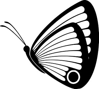 Butterfly Vinyl Window or Wall Decal 2